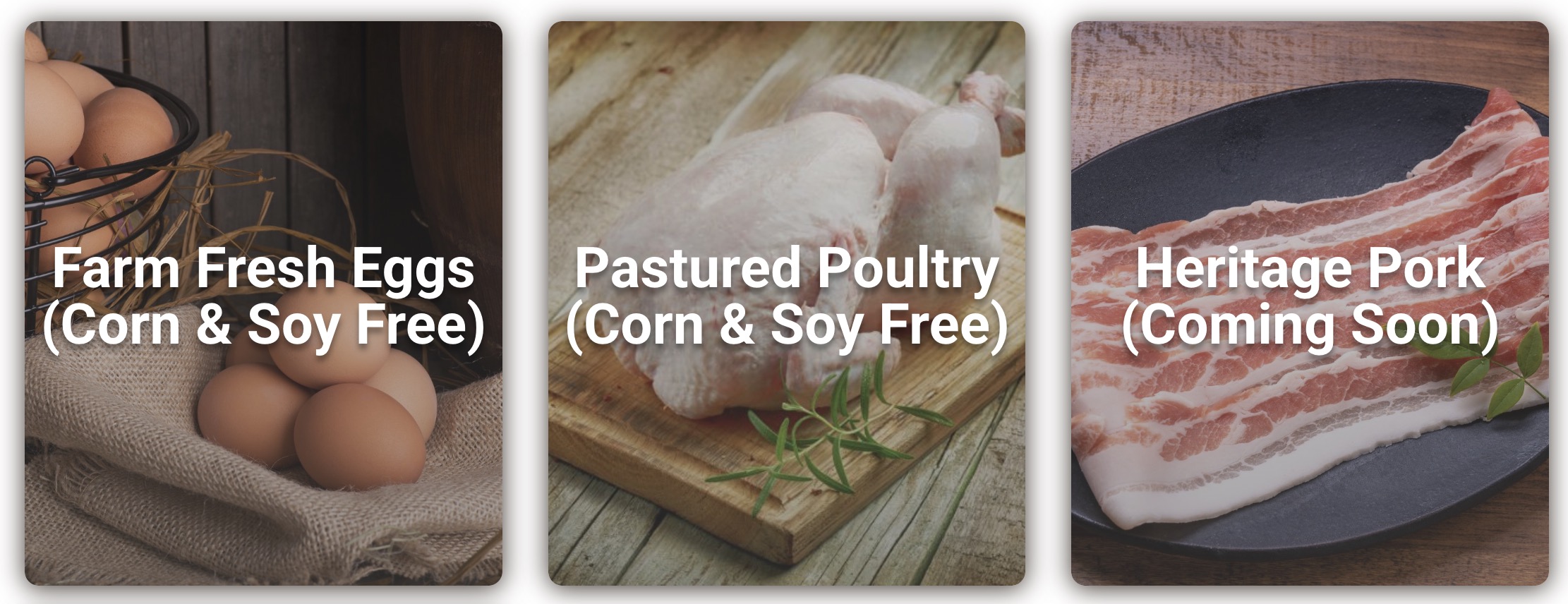 Kropf Meadows Farm store featuring locally-raised grass-fed beef, pastured eggs, and organic chicken products in Peach Bottom, Lancaster County, Pennsylvania